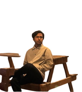 MAHMUDUL HASAN